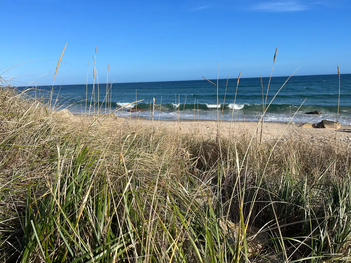 public beach