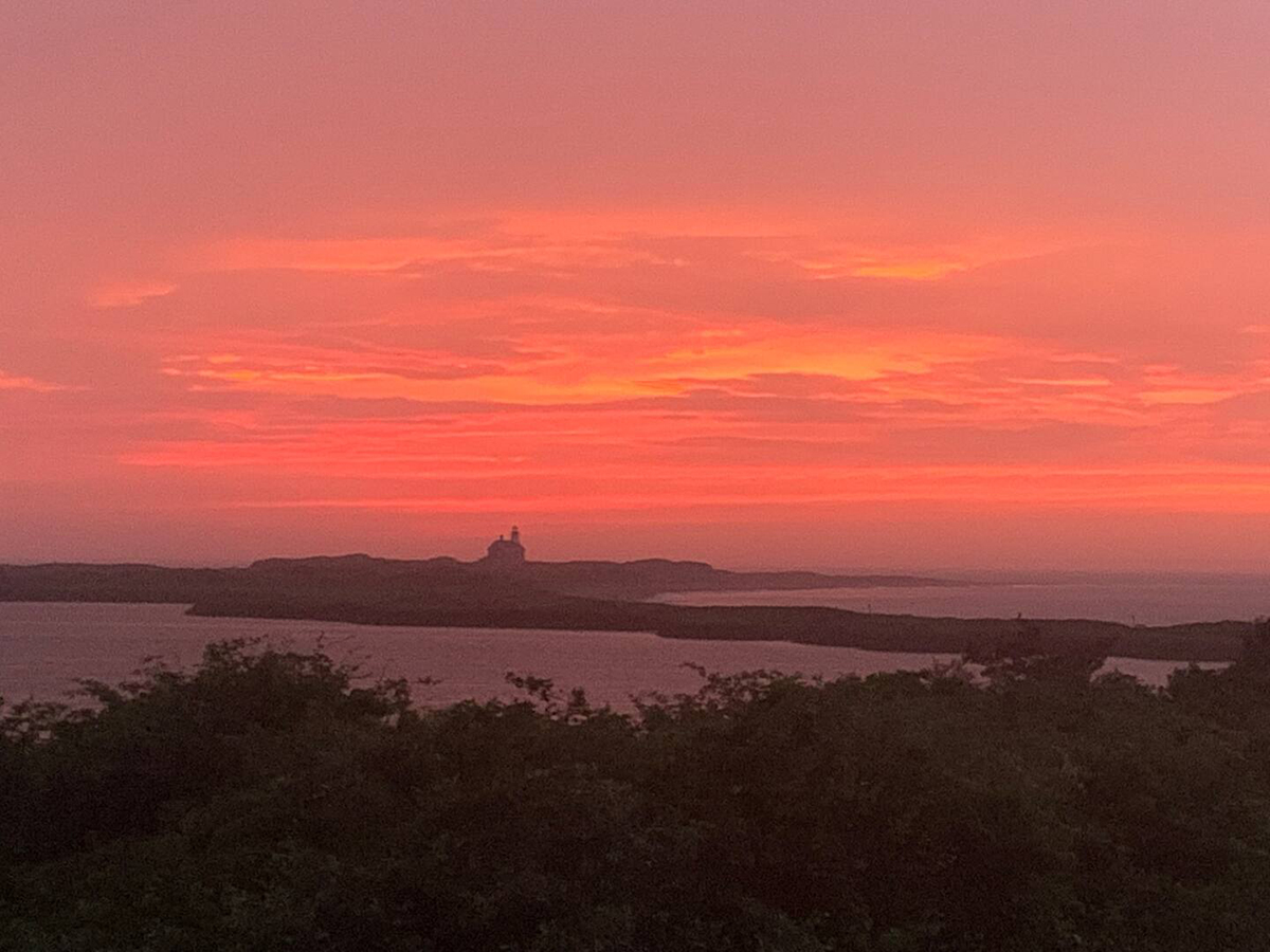Glorious Sunset