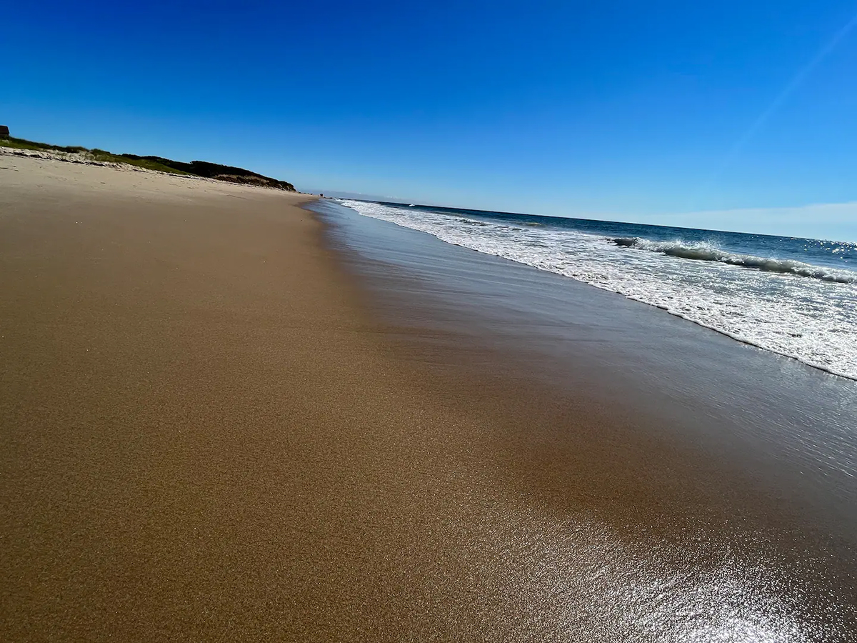 public beach