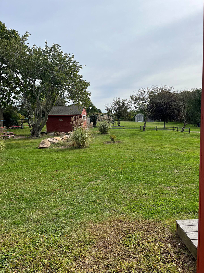 yard