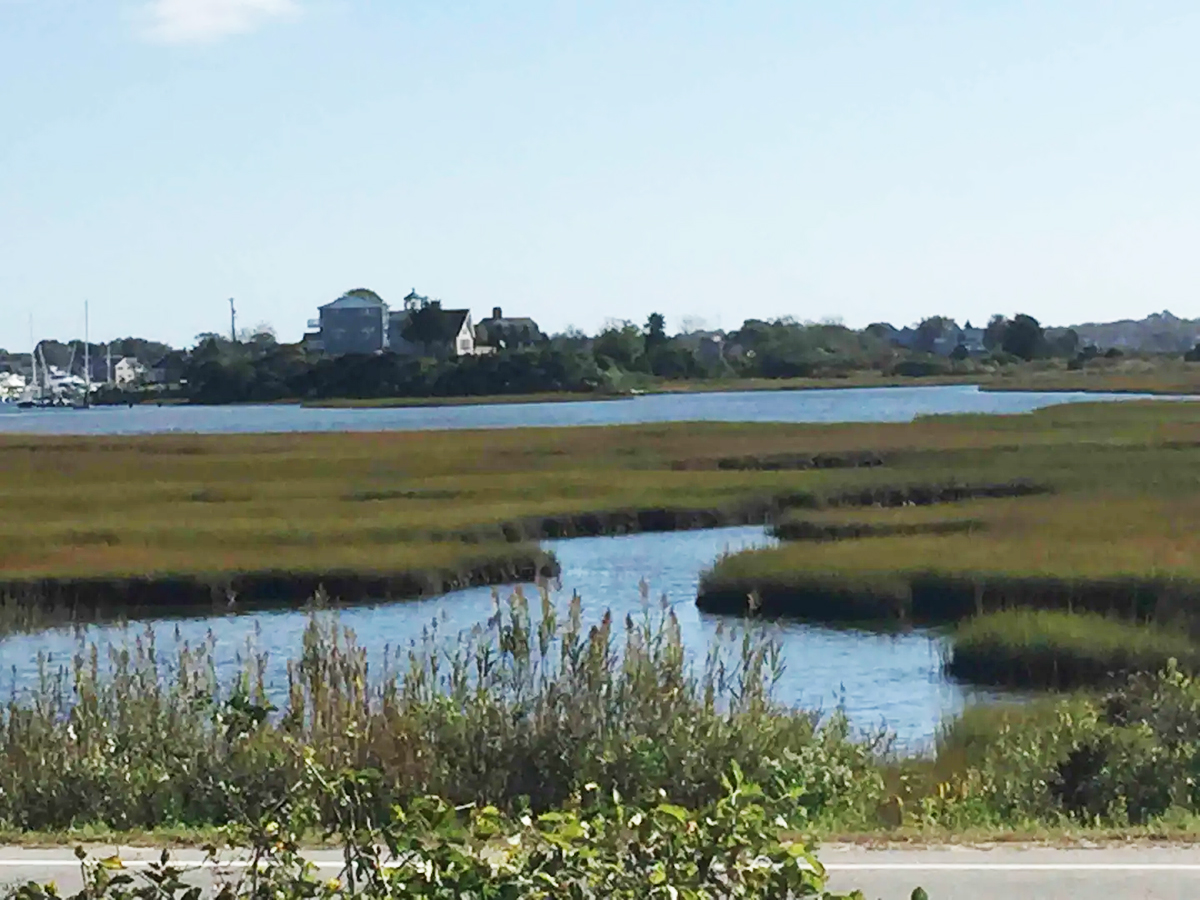 marsh