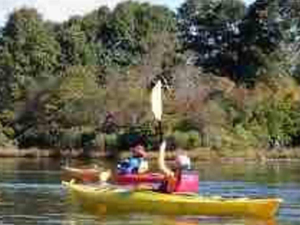 kayak