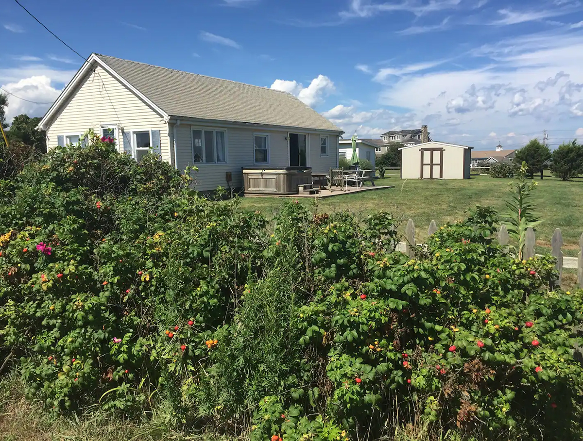 back yard