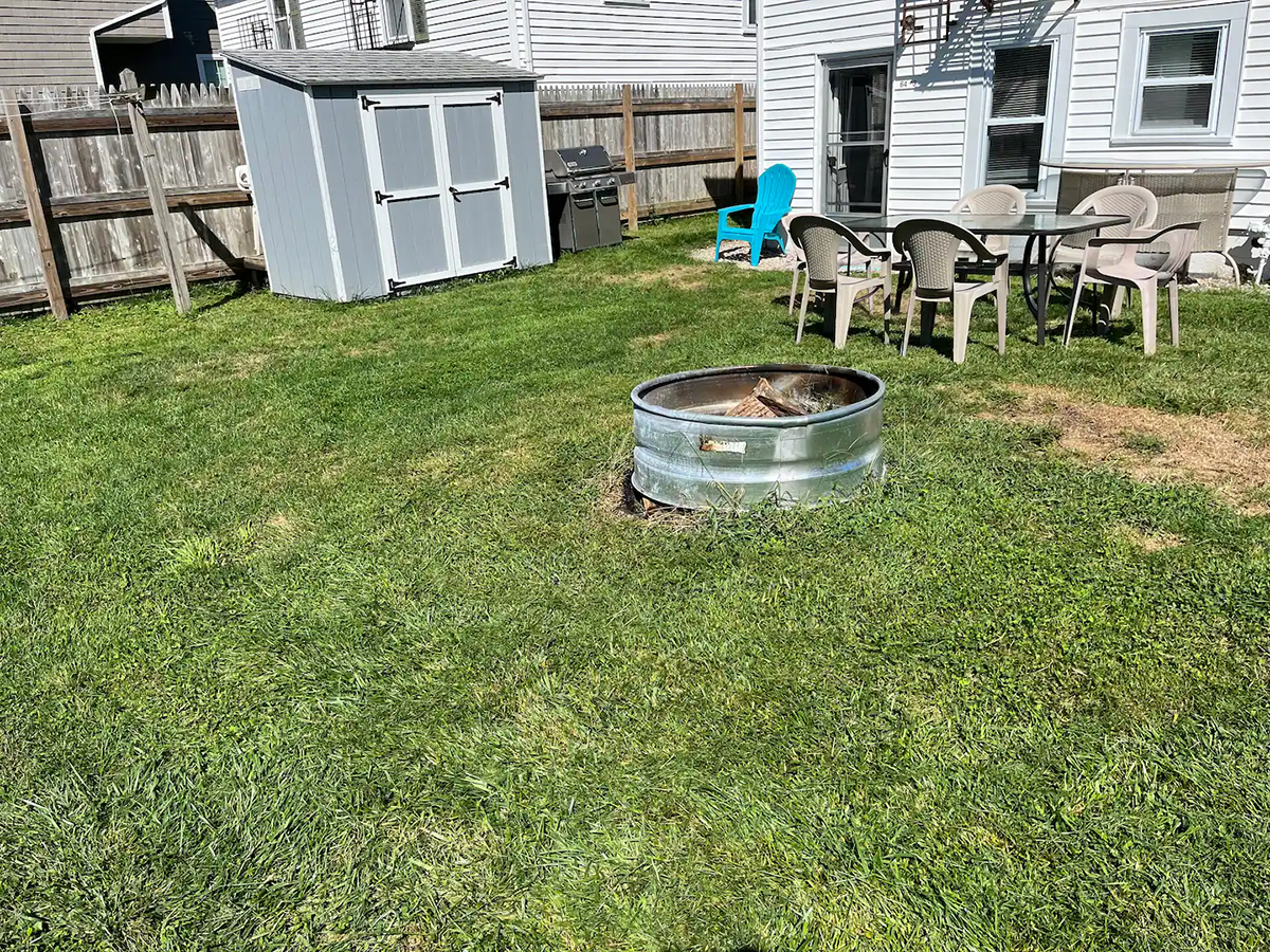 back yard