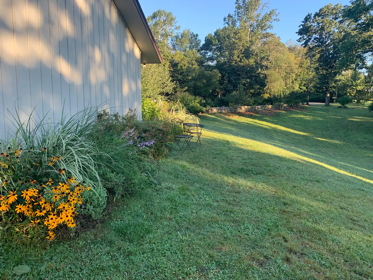 backyard